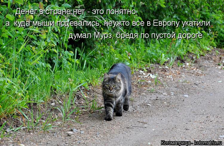 Денег в стране нет - это понятно а куда мыши подевались, неужто все в Европу укатили думал Мурз, бр... Котоматрица: Денег в стране нет - это понятно а куда мыши подевались, неужто все в Европу укатили думал Мурз, бредя по пустой дороге
