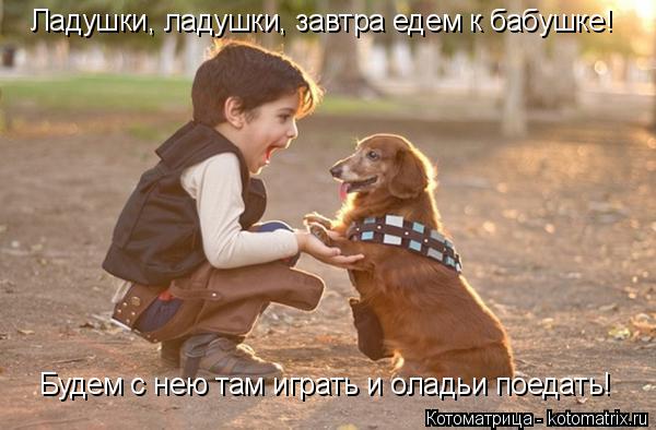 Ладушки, ладушки, завтра едем к бабушке! Будем с нею там играть и оладьи поедать!... Котоматрица: Ладушки, ладушки, завтра едем к бабушке! Будем с нею там играть и оладьи поедать!