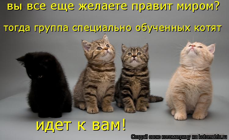 вы все еще желаете правит миром? тогда группа специально обученных котят идет к вам!... Котоматрица: вы все еще желаете правит миром? тогда группа специально обученных котят идет к вам!