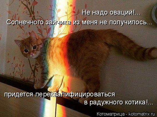 Не надо оваций!... Солнечного зайчика из меня не получилось... придется переквалифицироваться в раду... Котоматрица: Не надо оваций!... Солнечного зайчика из меня не получилось... придется переквалифицироваться в радужного котика!...