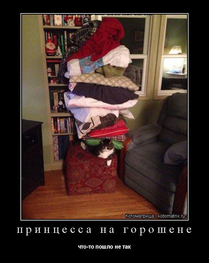 принцесса на горошене что-то пошло не так... Котоматрица: принцесса на горошене что-то пошло не так