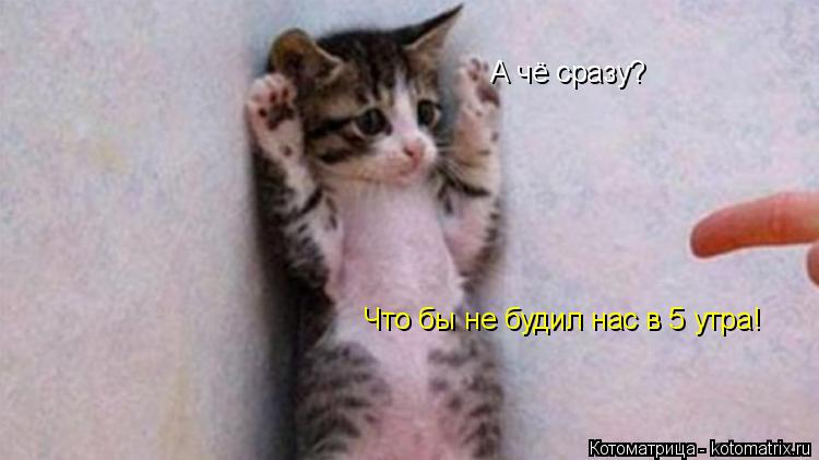 А чё сразу? А чё сразу? Что бы не будил нас в 5 утра!... Котоматрица: А чё сразу? А чё сразу? Что бы не будил нас в 5 утра!