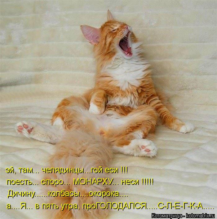 эй, там... челядинцы...гой еси !!! поесть... споро... МОНАРХУ... неси !!!!! Дичину......колбасы....ок... Котоматрица: эй, там... челядинцы...гой еси !!! поесть... споро... МОНАРХУ... неси !!!!! Дичину......колбасы....окорока.... а....Я... в пять утра, проГОЛОДАЛСЯ.....С-Л-Е-Г-К-А..