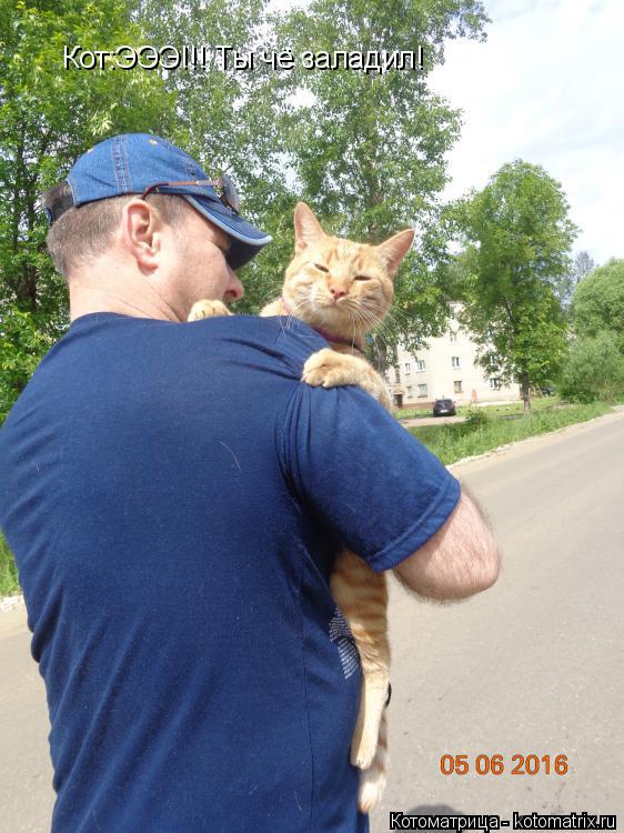 Кот:ЭЭЭ!!! Ты чё заладил!... Котоматрица: Кот:ЭЭЭ!!! Ты чё заладил!