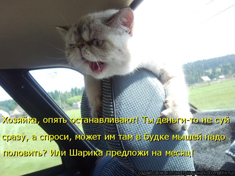Хозяйка, опять останавливают! Ты деньги-то не суй сразу, а спроси, может им там в будке мышей надо ... Котоматрица: Хозяйка, опять останавливают! Ты деньги-то не суй сразу, а спроси, может им там в будке мышей надо половить? Или Шарика предложи на месяц!