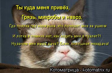 Ты куда меня привёз, Грязь, микробы и навоз, Где поилка где кормушка, кто почешет мне за ушком И лотк... Котоматрица: Ты куда меня привёз, Грязь, микробы и навоз, Где поилка где кормушка, кто почешет мне за ушком И лотка в помине нет, как ходить мне в туалет?! Н