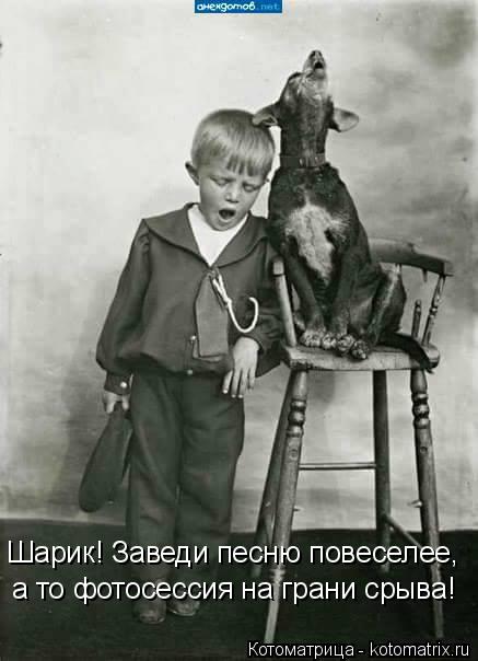Шарик! Заведи песню повеселее, а то фотосессия на грани срыва!... Котоматрица: Шарик! Заведи песню повеселее, а то фотосессия на грани срыва!