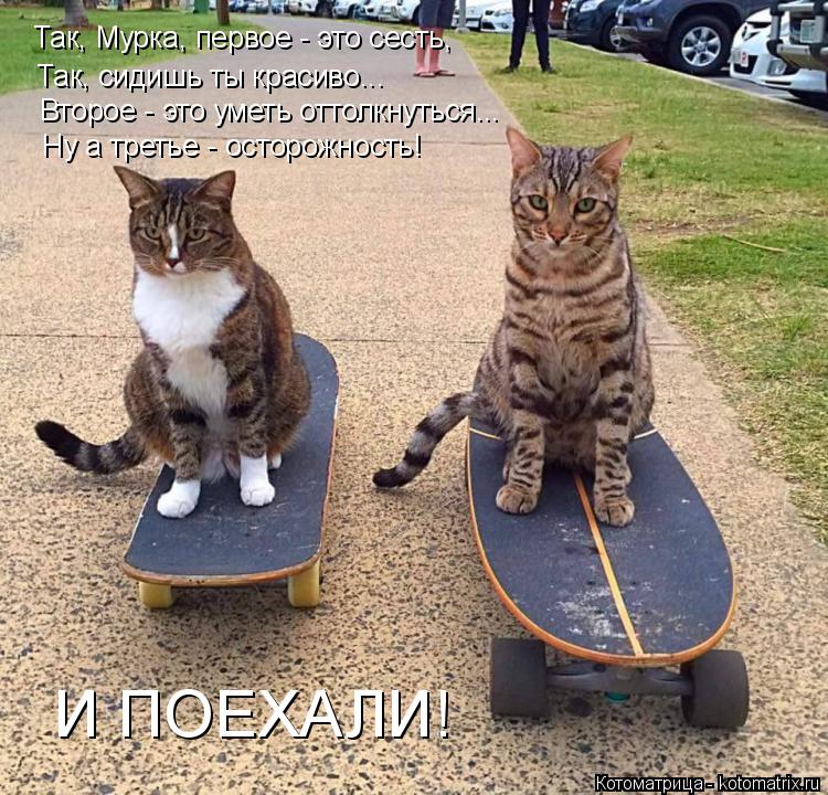 Так, Мурка, первое - это сесть, Так, сидишь ты красиво... Второе - это уметь оттолкнуться... Ну а тре... Котоматрица: Так, Мурка, первое - это сесть, Так, сидишь ты красиво... Второе - это уметь оттолкнуться... Ну а третье - осторожность! И ПОЕХАЛИ!