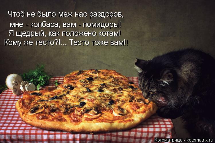 Чтоб не было меж нас раздоров, мне - колбаса, вам - помидоры! Я щедрый, как положено котам! Кому же т... Котоматрица: Чтоб не было меж нас раздоров, мне - колбаса, вам - помидоры! Я щедрый, как положено котам! Кому же тесто?!... Тесто тоже вам!!