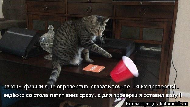 законы физики я не опровергаю..сказать точнее - я их проверяю!.. ведёрко со стола летит вниз сразу..... Котоматрица: законы физики я не опровергаю..сказать точнее - я их проверяю!.. ведёрко со стола летит вниз сразу...а для проверки я оставил вазу !!