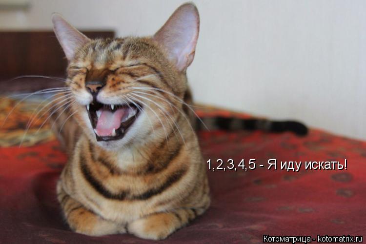 1,2,3,4,5 - Я иду искать!... Котоматрица: 1,2,3,4,5 - Я иду искать!
