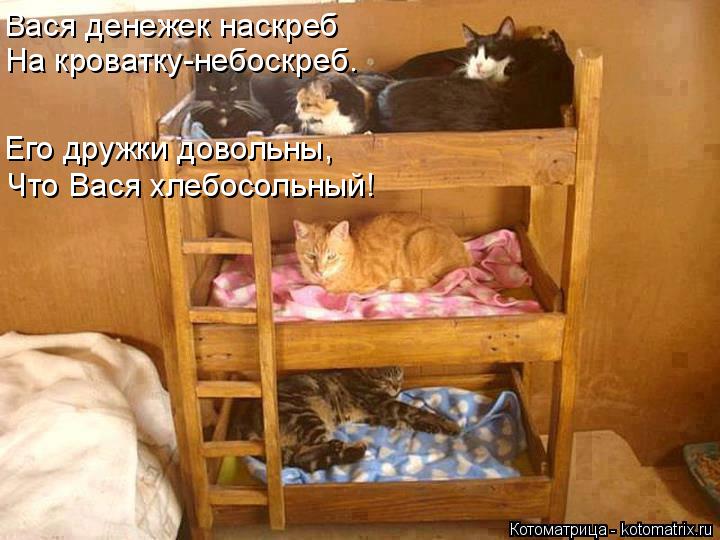 Вася денежек наскреб На кроватку-небоскреб. Его дружки довольны, Что Вася хлебосольный!... Котоматрица: Вася денежек наскреб На кроватку-небоскреб. Его дружки довольны, Что Вася хлебосольный!