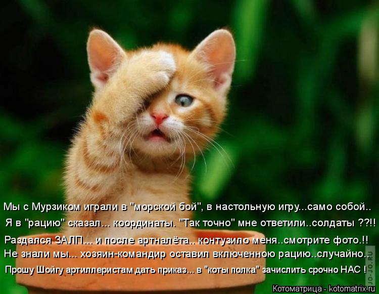 Я в "рацию" сказал... координаты. "Так точно" мне ответили..солдаты ??!! Раздался ЗАЛП... и после арт... Котоматрица: Я в "рацию" сказал... координаты. "Так точно" мне ответили..солдаты ??!! Раздался ЗАЛП... и после артналёта.. контузило меня..смотрите фото.!! Не зна