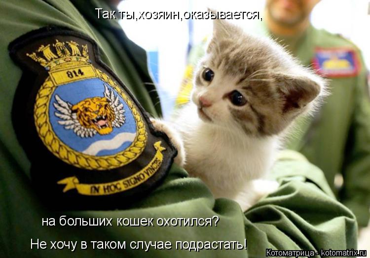 Так ты,хозяин,оказывается, на больших кошек охотился? Не хочу в таком случае подрастать!... Котоматрица: Так ты,хозяин,оказывается, на больших кошек охотился? Не хочу в таком случае подрастать!