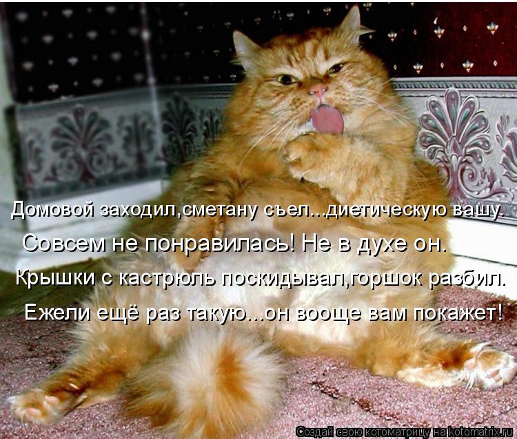 Домовой заходил,сметану съел...диетическую вашу. Крышки с кастрюль поскидывал,горшок разбил. Ежели е... Котоматрица: Домовой заходил,сметану съел...диетическую вашу. Крышки с кастрюль поскидывал,горшок разбил. Ежели ещё раз такую...он вооще вам покажет! Сов