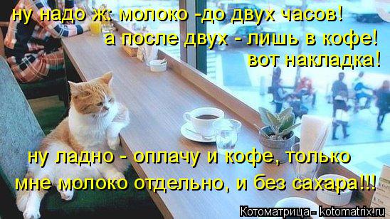 ну надо ж: молоко -до двух часов! а после двух - лишь в кофе! вот накладка! ну ладно - оплачу и кофе,... Котоматрица: ну надо ж: молоко -до двух часов! а после двух - лишь в кофе! вот накладка! ну ладно - оплачу и кофе, только мне молоко отдельно, и без сахара!!!