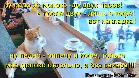 Котоматрица: ну надо ж: молоко -до двух часов! а после двух - лишь в кофе! вот накладка! ну ладно - оплачу и кофе, только мне молоко отдельно, и без сахара!!!