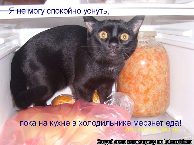 Я не могу спокойно уснуть, пока на кухне в холодильнике мерзнет еда!... Котоматрица: Я не могу спокойно уснуть, пока на кухне в холодильнике мерзнет еда!