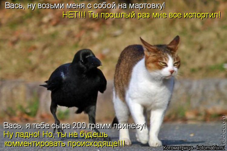 Вась, ну возьми меня с собой на мартовку! НЕТ!!! Ты прошлый раз мне все испортил! Вась, я тебе сыра 2... Котоматрица: Вась, ну возьми меня с собой на мартовку! НЕТ!!! Ты прошлый раз мне все испортил! Вась, я тебе сыра 200 грамм принесу! Ну ладно! Но, ты не будешь к