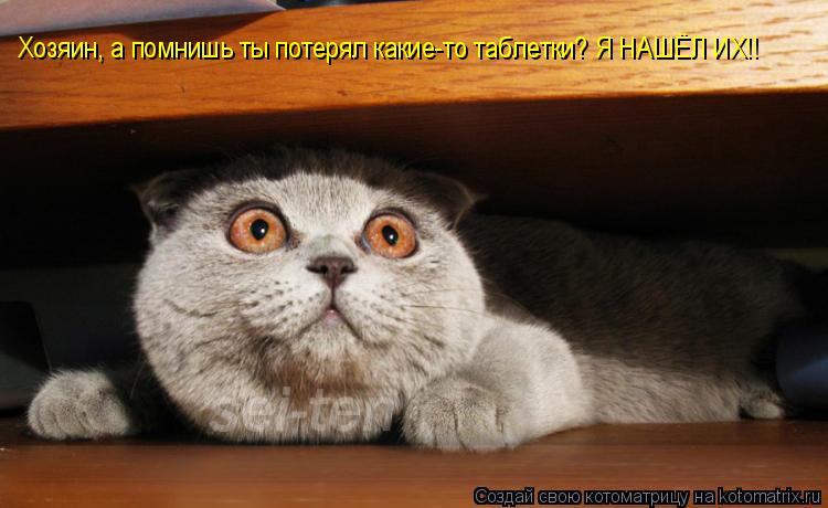 Хозяин, а помнишь ты потерял какие-то таблетки? Я НАШЁЛ ИХ!!... Котоматрица: Хозяин, а помнишь ты потерял какие-то таблетки? Я НАШЁЛ ИХ!!