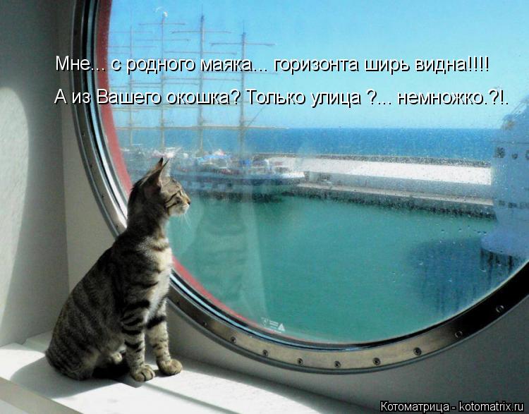 Мне... с родного маяка... горизонта ширь видна!!!! А из Вашего окошка? Только улица ?... немножко.?!.... Котоматрица: Мне... с родного маяка... горизонта ширь видна!!!! А из Вашего окошка? Только улица ?... немножко.?!.