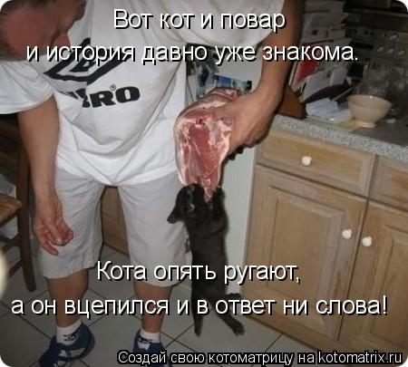 Вот кот и повар Кота опять ругают, а он вцепился и в ответ ни слова! и история давно уже знакома.... Котоматрица: Вот кот и повар Кота опять ругают, а он вцепился и в ответ ни слова! и история давно уже знакома.
