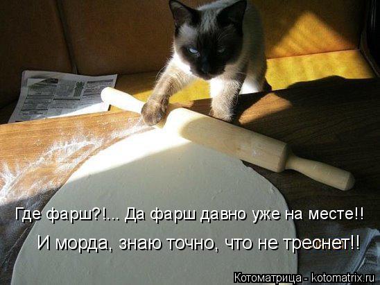 И морда, знаю точно, что не треснет!! Где фарш?!... Да фарш давно уже на месте!!... Котоматрица: И морда, знаю точно, что не треснет!! Где фарш?!... Да фарш давно уже на месте!!
