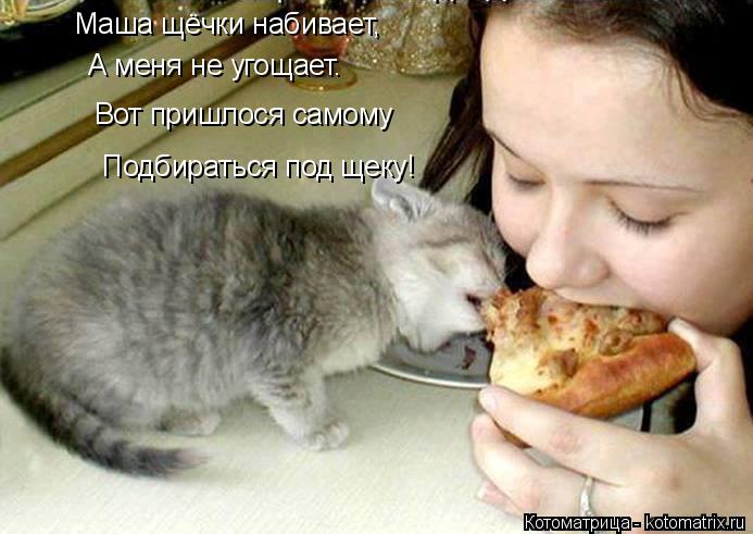 Маша щёчки набивает, А меня не угощает. Вот пришлося самому Подбираться под щеку!... Котоматрица: Маша щёчки набивает, А меня не угощает. Вот пришлося самому Подбираться под щеку!