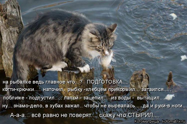 на рыбалке ведь главное что...? ПОДГОТОВКА.... поближе - подпустил..... лапой - зацепил.....из вод... Котоматрица: на рыбалке ведь главное что...? ПОДГОТОВКА.... поближе - подпустил..... лапой - зацепил.....из воды - вытащил..... ну... знамо-дело, в зубах зажал.. что