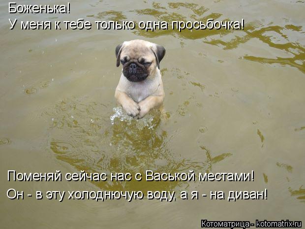 Боженька! У меня к тебе только одна просьбочка! Поменяй сейчас нас с Васькой местами! Он - в эту хол... Котоматрица: Боженька! У меня к тебе только одна просьбочка! Поменяй сейчас нас с Васькой местами! Он - в эту холоднючую воду, а я - на диван!