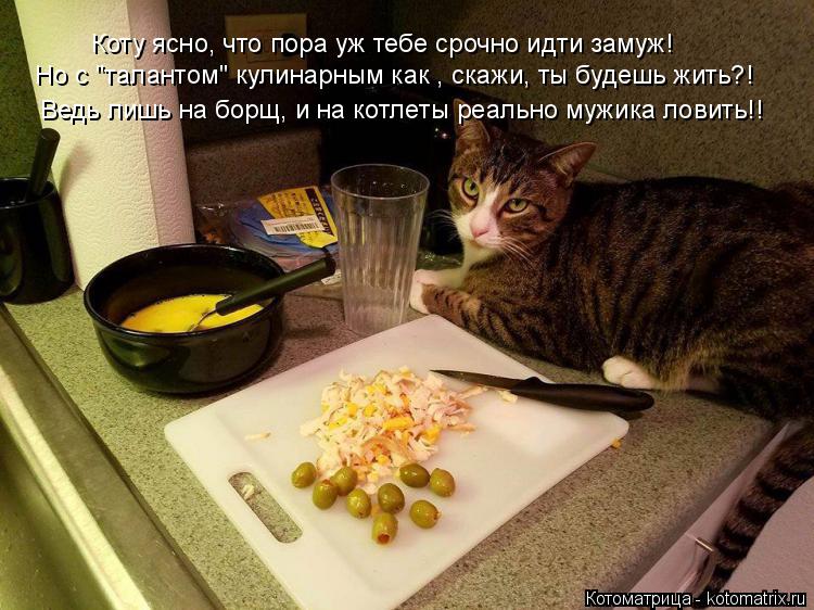 Коту ясно, что пора уж тебе срочно идти замуж! Но с "талантом" кулинарным как , скажи, ты будешь жить... Котоматрица: Коту ясно, что пора уж тебе срочно идти замуж! Но с "талантом" кулинарным как , скажи, ты будешь жить?! Ведь лишь на борщ, и на котлеты реально м