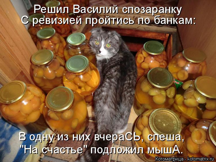 С ревизией пройтись по банкам: В одну из них вчераСЬ, спеша, В одну из них вчераСЬ, спеша, "На счасть... Котоматрица: С ревизией пройтись по банкам: В одну из них вчераСЬ, спеша, В одну из них вчераСЬ, спеша, "На счастье" подложил мышА. Решил Василий спозаранку