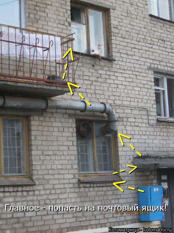 --> --> --> --> --> Главное - попасть на почтовый ящик!... Котоматрица: --> --> --> --> --> Главное - попасть на почтовый ящик!