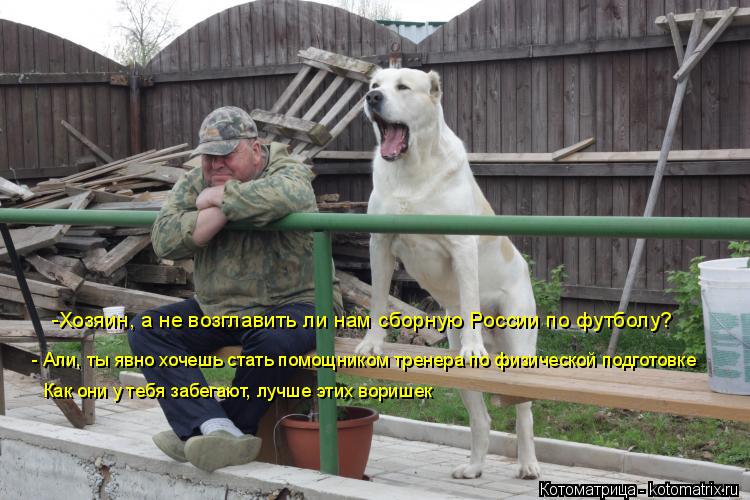 -Хозяин, а не возглавить ли нам сборную России по футболу? - Али, ты явно хочешь стать помощником тре... Котоматрица: -Хозяин, а не возглавить ли нам сборную России по футболу? - Али, ты явно хочешь стать помощником тренера по физической подготовке - Али, ты яв