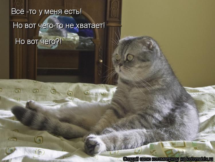 Всё -то у меня есть! Но вот чего-то не хватает! Но вот чего?!... Котоматрица: Всё -то у меня есть! Но вот чего-то не хватает! Но вот чего?!