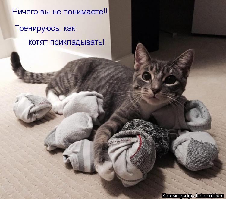 Ничего вы не понимаете!! Тренируюсь, как котят прикладывать!... Котоматрица: Ничего вы не понимаете!! Тренируюсь, как котят прикладывать!