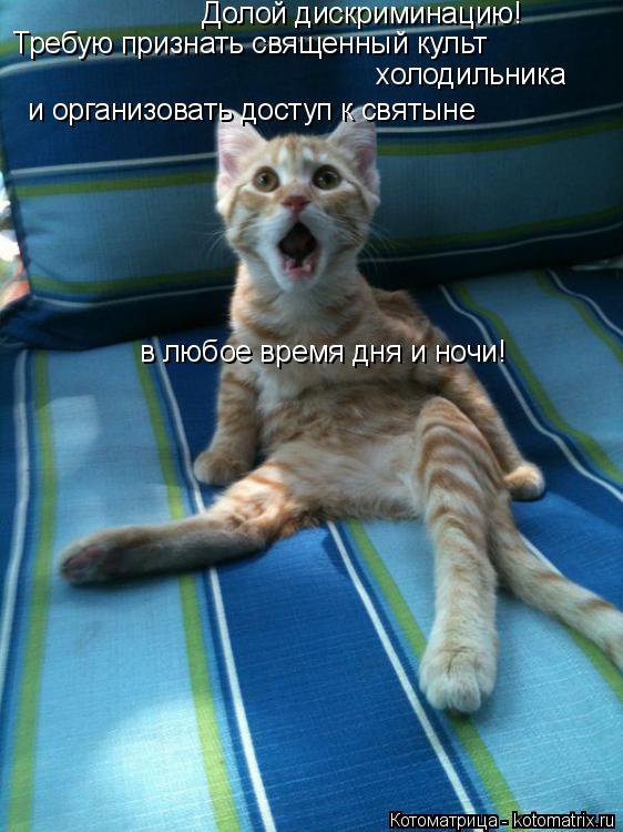 Требую признать священный культ холодильника и организовать доступ к святыне в любое время дня и но... Котоматрица: Требую признать священный культ холодильника и организовать доступ к святыне в любое время дня и ночи! Долой дискриминацию!
