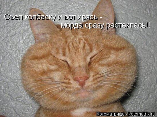 Съел колбаску и вот хрясь - морда сразу растеклась!!... Котоматрица: Съел колбаску и вот хрясь - морда сразу растеклась!!