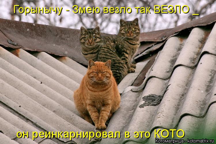 Горынычу - Змею везло так ВЕЗЛО _ он реинкарнировал в это КОТО... Котоматрица: Горынычу - Змею везло так ВЕЗЛО _ он реинкарнировал в это КОТО