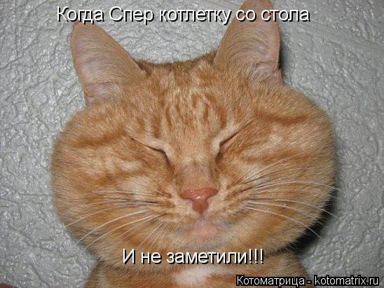 Когда Спер котлетку со стола И не заметили!!!... Котоматрица: Когда Спер котлетку со стола И не заметили!!!