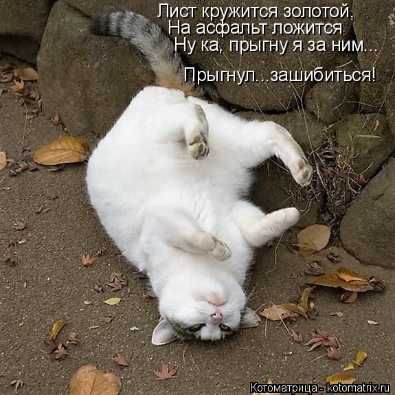 Лист кружится золотой, На асфальт ложится Ну ка, прыгну я за ним... Прыгнул...зашибиться!... Котоматрица: Лист кружится золотой, На асфальт ложится Ну ка, прыгну я за ним... Прыгнул...зашибиться!