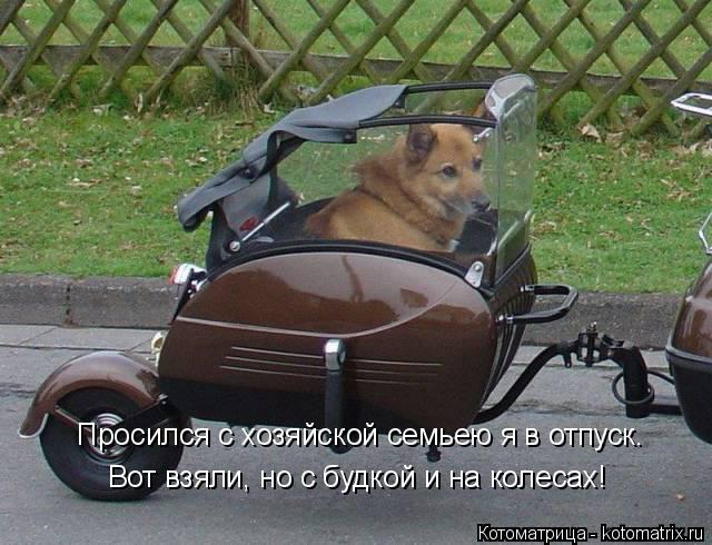 Просился с хозяйской семьею я в отпуск. Вот взяли, но с будкой и на колесах!... Котоматрица: Просился с хозяйской семьею я в отпуск. Вот взяли, но с будкой и на колесах!