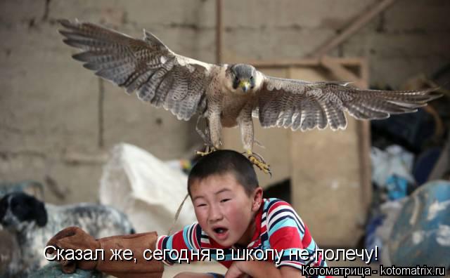 Сказал же, сегодня в школу не полечу!... Котоматрица: Сказал же, сегодня в школу не полечу!