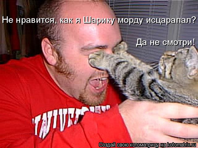 Не нравится, как я Шарику морду исцарапал? Да не смотри!... Котоматрица: Не нравится, как я Шарику морду исцарапал? Да не смотри!