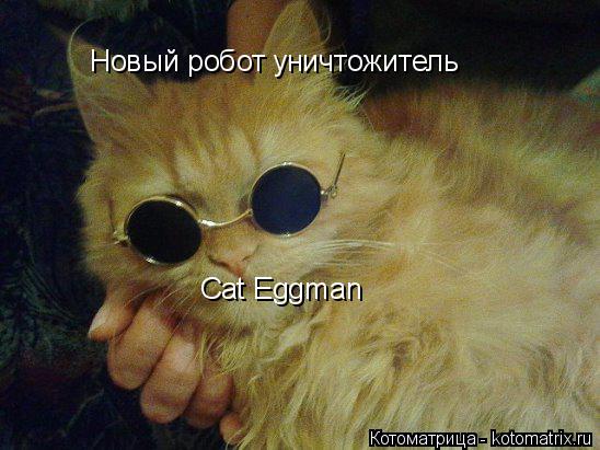 Новый робот уничтожитель Cat Eggman... Котоматрица: Новый робот уничтожитель Cat Eggman