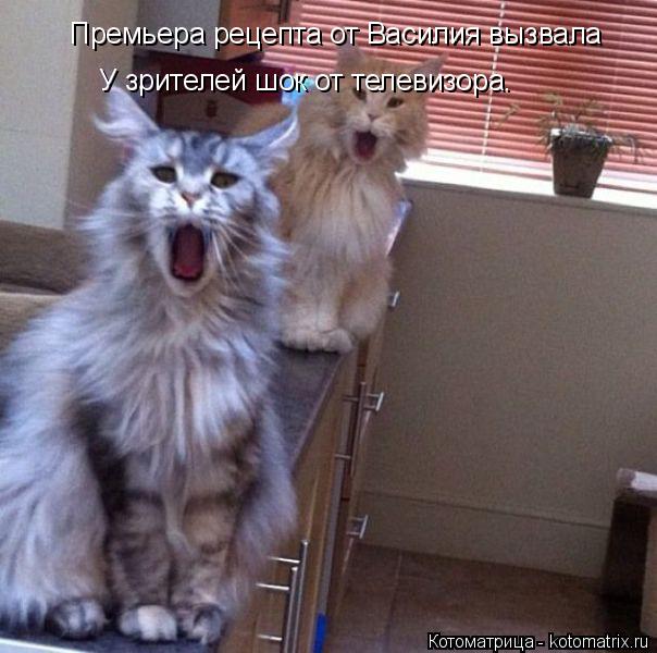 Премьера рецепта от Василия вызвала У зрителей шок от телевизора.... Котоматрица: Премьера рецепта от Василия вызвала У зрителей шок от телевизора.