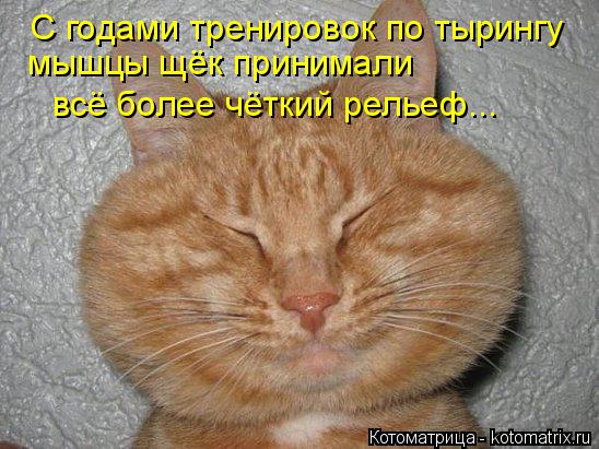 С годами тренировок по тырингу мышцы щёк принимали всё более чёткий рельеф...... Котоматрица: С годами тренировок по тырингу мышцы щёк принимали всё более чёткий рельеф...