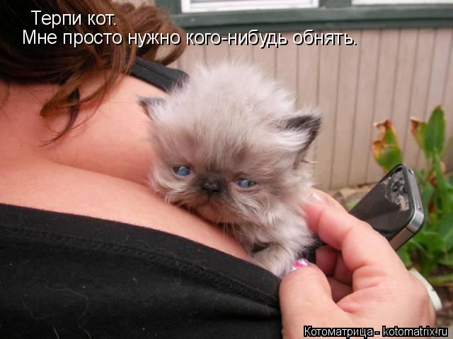 Котоматрица: Терпи кот. Мне просто нужно кого-нибудь обнять.