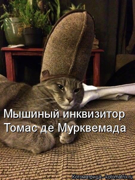 Мышиный инквизитор Томас де Мурквемада... Котоматрица: Мышиный инквизитор Томас де Мурквемада