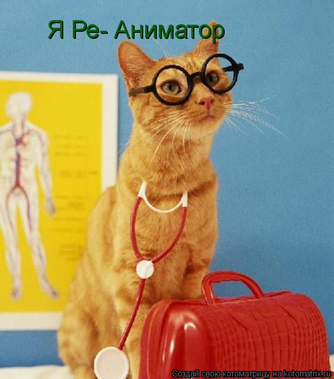 Я Ре- Аниматор... Котоматрица: Я Ре- Аниматор